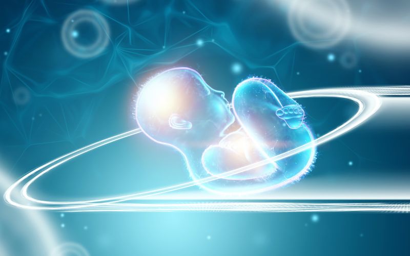 Tiềm năng tái sinh và biệt hoá của tế bào gốc phôi 