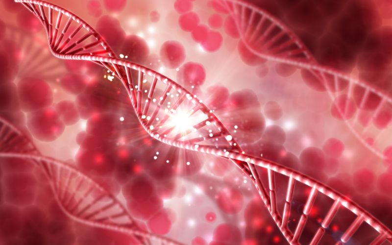 Tế bào gốc tạo máu (HSC) là một loại tế bào gốc được tìm thấy trong tủy xương