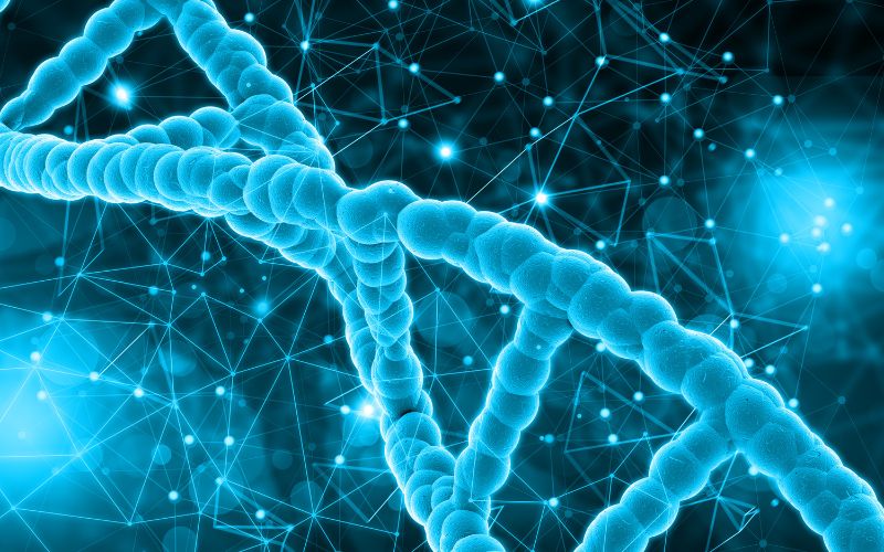 tế bào gốc toàn năng tồn tại trong khoảng thời gian rất ngắn sau khi thụ tinh