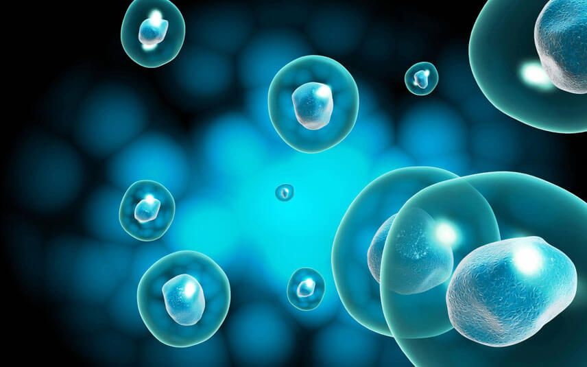 Chọn nguồn lấy tế bào gốc trung mô phù hợp