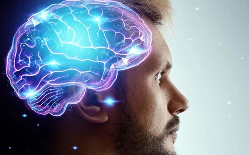 Tái tạo mô tế bào não từ tế bào gốc là một bước tiến lớn trong y học hiện đại