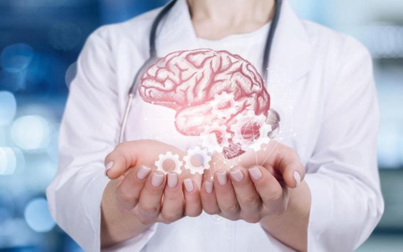 Khi các tế bào não già đi, chúng mất đi tính linh hoạt và khả năng hoạt động hiệu quả