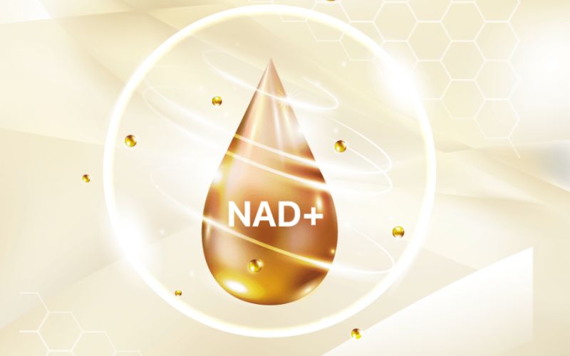Sử dụng liệu pháp NMN - Bổ sung NAD+ đánh bại thiếu ngủ trầm trọng