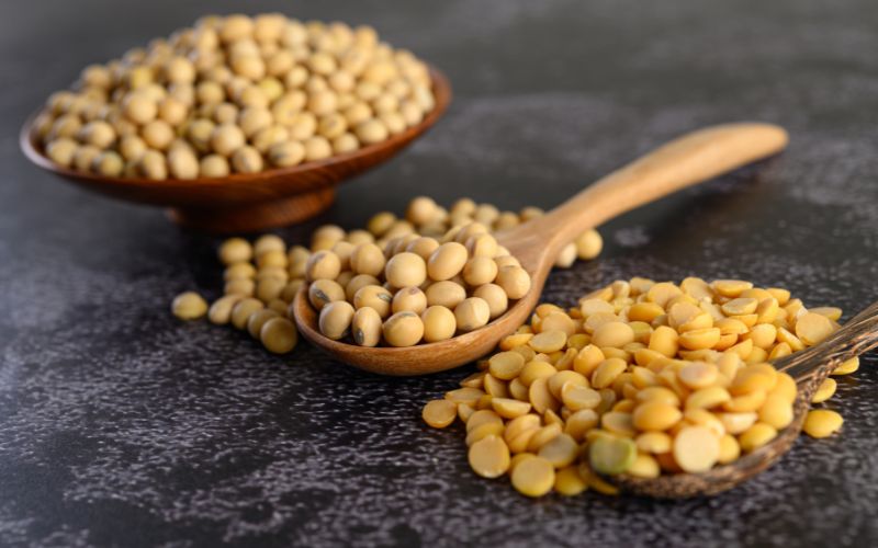 Đậu nành là lựa chọn tốt cho người bệnh thoái hóa khớp ăn gì khi chay hoặc không dung nạp sản phẩm từ động vật.