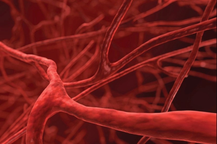 Thuốc NMN hỗ trợ cải thiện hệ thống mạch máu trong cơ thể