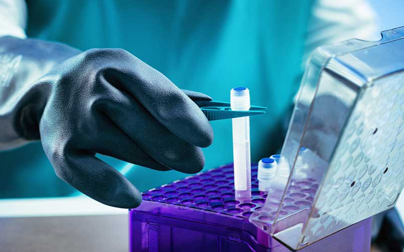 tế bào gốc phôi thai là gì