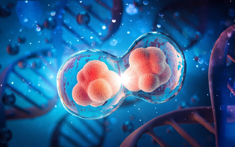 trị viêm khớp bằng tế bào gốc