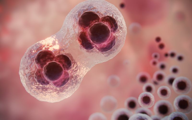 Trị viêm khớp thoái hóa bằng tế bào gốc hoạt động theo một cơ chế tiên tiến nhằm cải thiện tình trạng khớp