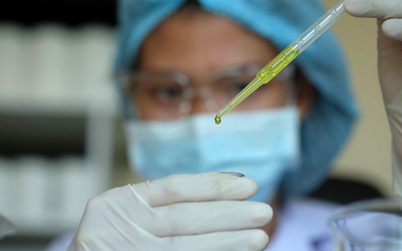 Tế bào gốc sau khi được thu thập sẽ mang về phòng thí nghiệm, nơi chúng sẽ được nuôi cấy và phát triển