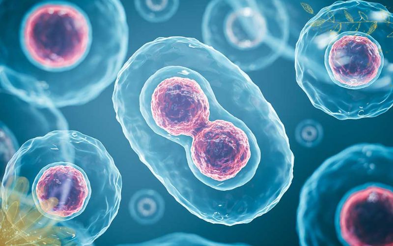 ưu điểm của liệu pháp tế bào gốc